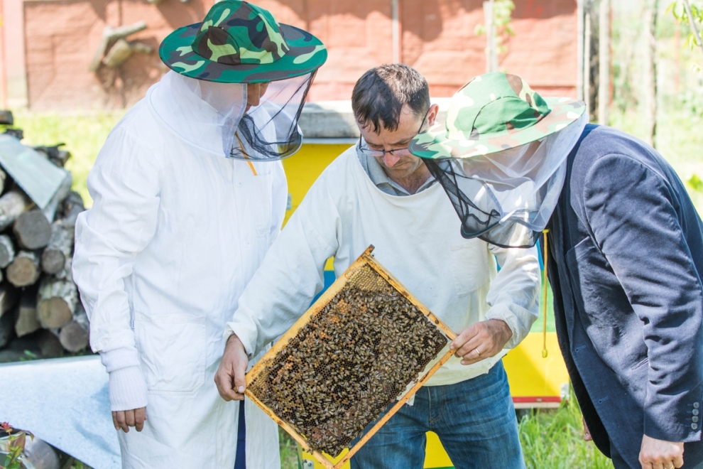 Besitzer*innen von Bienenvölkern betroffen